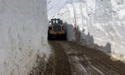 Nisan ayında 6 metreyi aşan kar, tünelleri andırdı