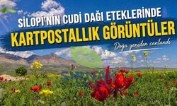 Cudi’nin etekleri renge büründü, doğa şöleni başladı