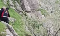 Mahsur kalan keçileri itfaiye kurtardı