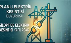 DEDAŞ’tan Silopi’ye kesinti duyurusu