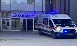 Köpeklerin saldırdığı 5 yaşındaki çocuk hayatını kaybetti