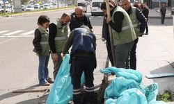 Yağmur Suyu Hatlarından Şoke Eden Görüntü: 270 Ton Çöp Temizlendi