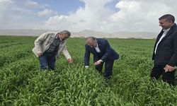 Mardin’den Ankara’ya Çağrı: Mazotta ÖTV Sıfırlansın