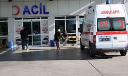 Ağaçlık alanda ağır yaralı bulundu