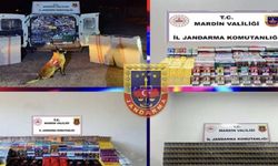 Mardin’de 32 bin 580 paket sigara ele geçirildi