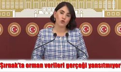 Aslan, “Şırnak’ta orman verileri gerçeği yansıtmıyor”