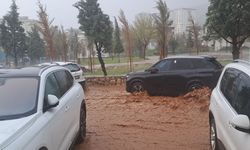 Sağanak yağış sel taşkınına neden oldu