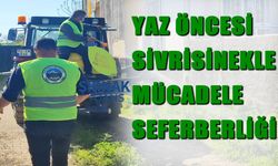 Başverimli’de yaz öncesi sivrisinekle mücadele seferberliği