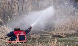 Sazlık alanda çıkan yangın söndürüldü
