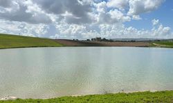 Kuraklıktan Kurtulan Gölet Yağışlarla Canlandı