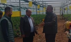 Silopi’de Sera Üretimi Yerinde İncelendi
