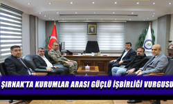 Şırnak’ta Güvenlik ve Ekonomi Masaya Yatırıldı