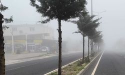 Diyarbakır Dicle'de sis etkili oldu