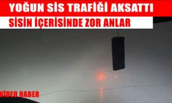 Şırnak’ta yoğun sis ulaşımı olumsuz etkiledi