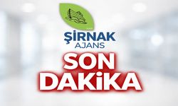 Van Gölü’nde Yüzücü Akıntıya Kapıldı