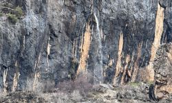 Beytüşşebap’ta yağışlar sonrası doğa sürprizi