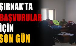 Şırnaklı üreticiye çağrı, 30 Nisan’ı kaçırmayın
