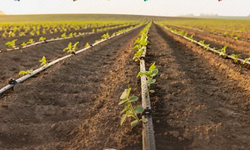 Şırnak’ta Tarıma Güç Katacak Karar Resmî Gazete’de