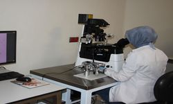 Fethi Sekin Şehir Hastanesi, bölgeye umut oluyor