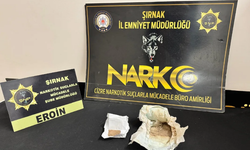 Cizre'de Akılalmaz Yöntem Eroini Bebek Bezine Gizlediler