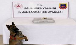 Uyarıcı madde operasyonunda 1 gözaltı