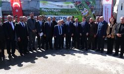 5 yılda 4 buçuk milyon fidan toprakla buluşturuldu