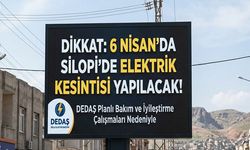 Yarın Silopi’de elektrikler kesilecek, işte kesinti saatleri