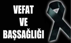 İstanbul’da vefat etti, Cizre’de defnedilecek