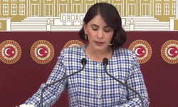 Vekil Uysal," Şırnak’ın Doğası ve Sağlığı Tehdit Altında"