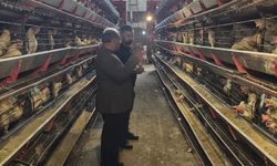 Nuh Tavukçuluk’ta Üretim Masaya Yatırıldı