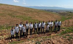 Gönüllülerden Silopi’ye nefes olacak çalışma