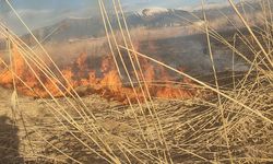 Van’ın Muradiye ilçesinde sazlık yangını