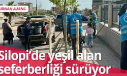 Silopi’de yeşil seferberliği sürüyor
