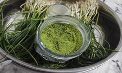 Zuzubak otunun Kilosu 15 bin TL’den satılıyor