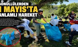 Şırnak’ta gönüllülerden 1 Mayıs’ta anlamlı hareket