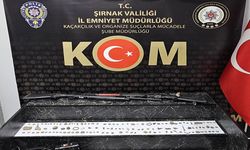 Şırnak’ta Tarihi Eser Operasyonu, 180 Obje Ele Geçirildi