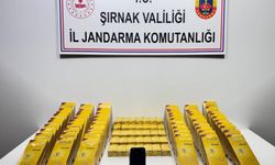 Şırnak’ta Operasyon, 1 Tutuklama