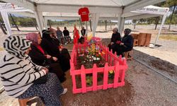 Hayatını kaybeden Almina’nın mezarı pembeye boyandı