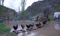 Habur Taştı, Beytüşşebap Sulara Teslim Oldu