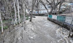 Şırnak'ta ev ve ahırlar sular altında kaldı