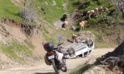 Pancar toplamaya gidenleri taşıyan araç takla attı, 4 yaralı