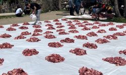 Asırlık gelenek 140 kurban kesildi, etler tüm köye dağıtıldı