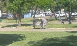 Amcalar yaşlarına aldırış etmeden parkta mekik çekti