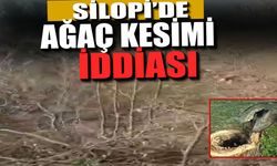 Silopi’de ağaç kesimi iddiası, köylüler tepkili