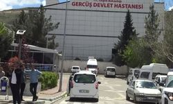 Piknikte akrep sokan kadın hastanelik oldu