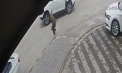 Alacak verecek kavgası kanlı bitti, 1 ağır yaralı