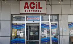 Çağla yiyen 6 öğrenci hastanelik oldu