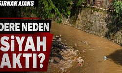 Silopi Celâl Deresi’ni Kim Kararttı?