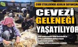 Cudi eteklerinde asırlık dayanışma