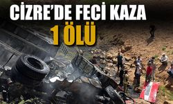 Cizre’de Tır Kazası, 1 Kişi Öldü